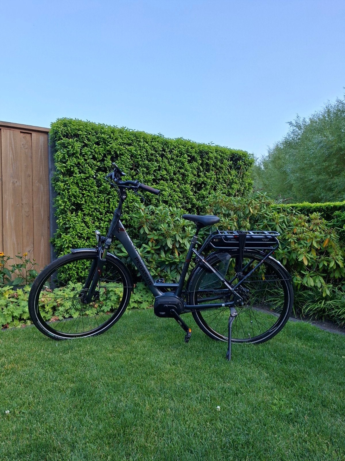 Pegasus E8F Opero elektrische fiets te koop!, Fietsen en Brommers, Elektrische fietsen, Gebruikt, Overige merken, 51 tot 55 cm