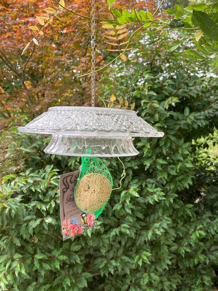 VOGEL VOEDERBEL GLAS HELDER NIEUW, -, -, Nieuw, Ophalen of Verzenden