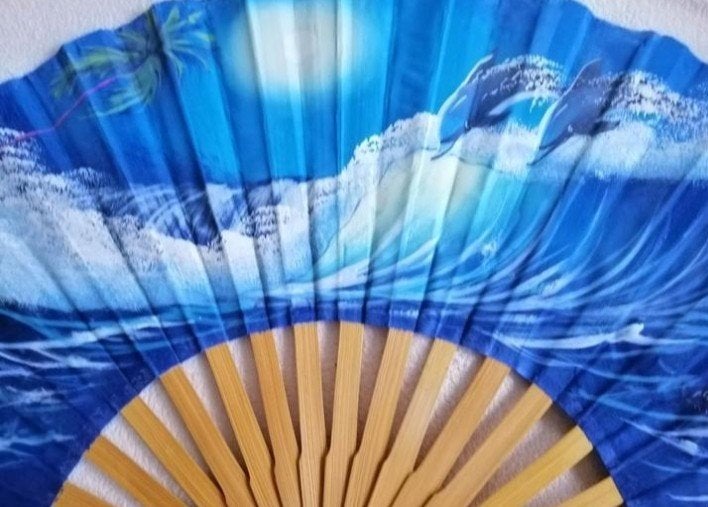 Chinese handgeschilderde waaier, Ophalen of Verzenden
