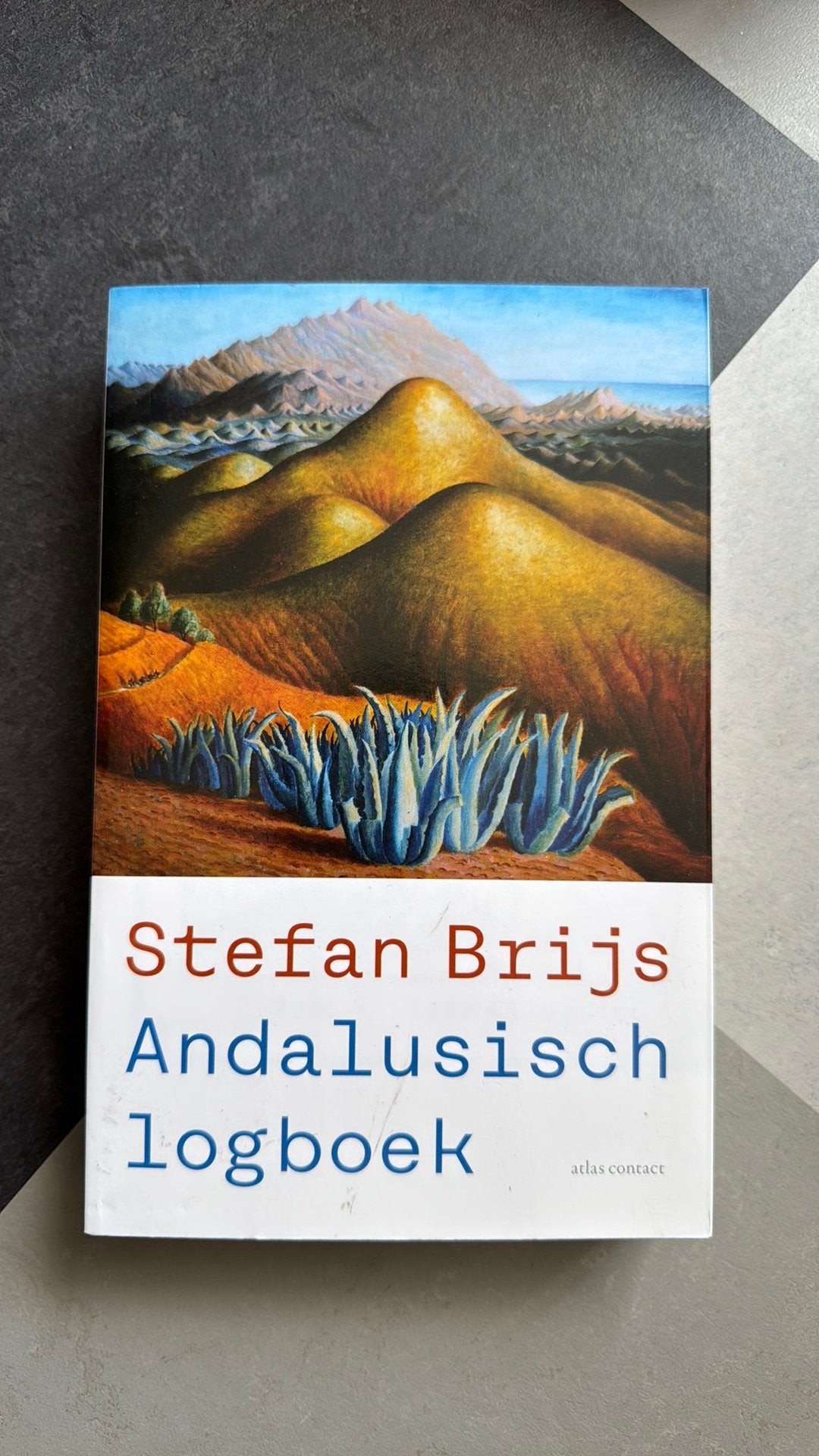 Stefan Brijs - Andalusisch logboek, Boeken, Reisverhalen, Zo goed als nieuw, Europa, Ophalen of Verzenden
