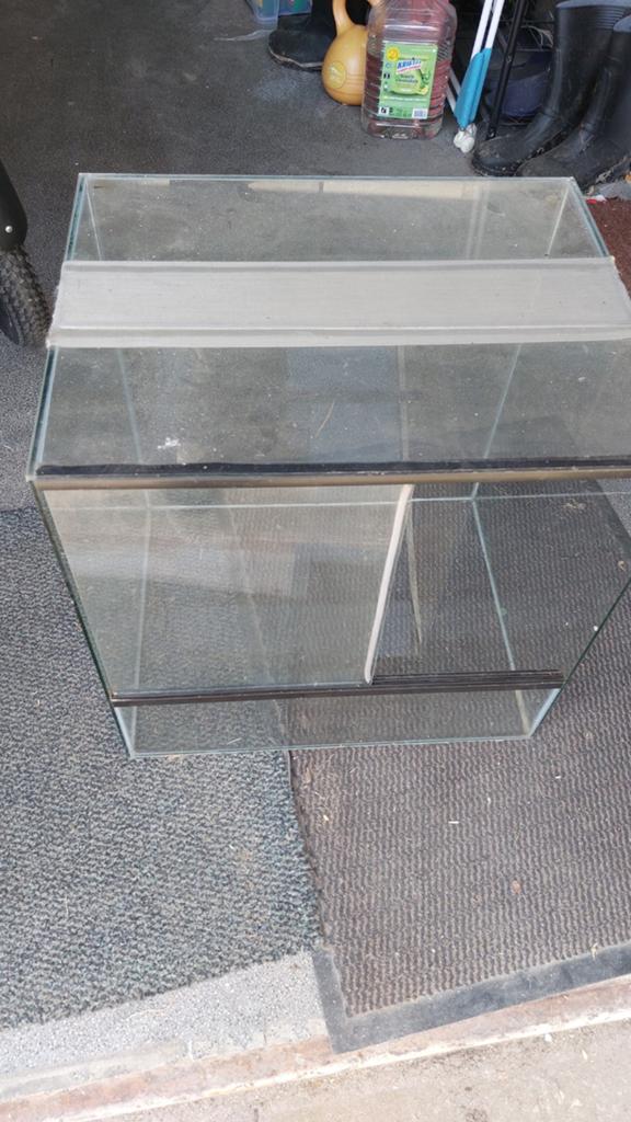 Terrarium, Wandelende tak