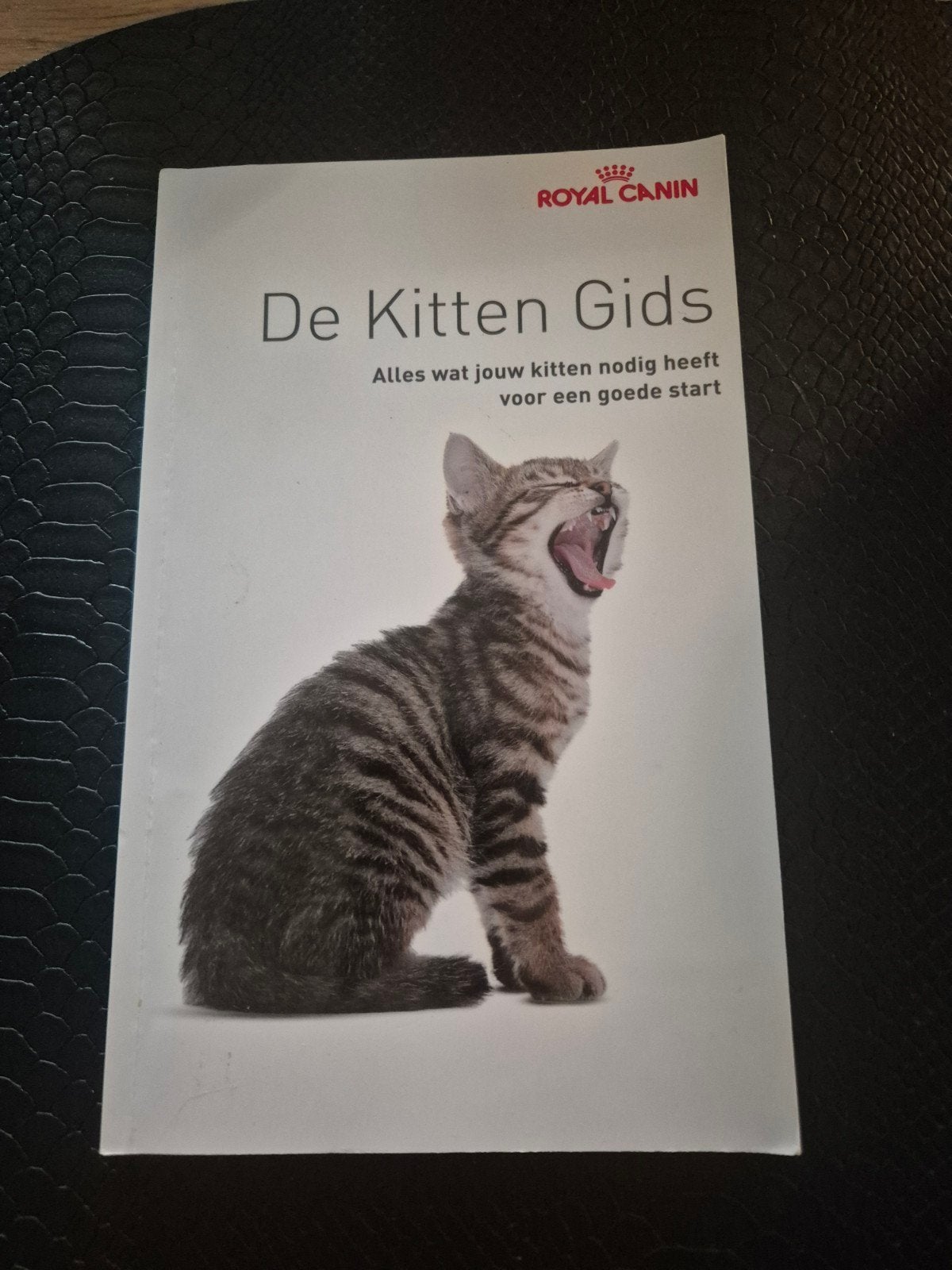 de kitten gids, Boeken, Dieren en Huisdieren, Ophalen of Verzenden, Katten