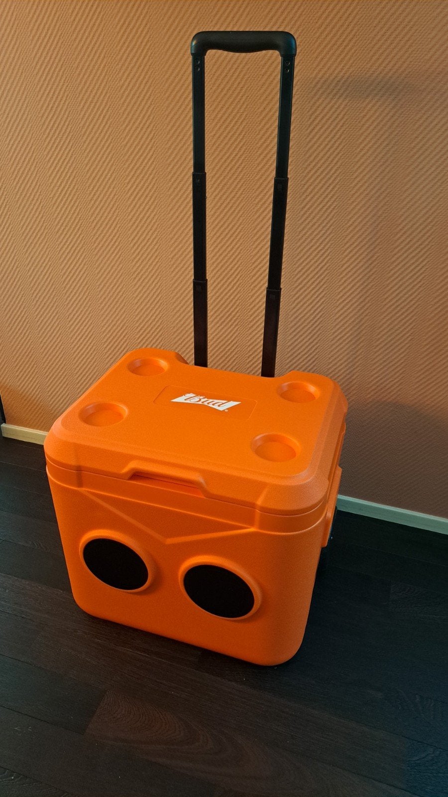 Bud bier - koelbox met speakers - NIEUW, Ophalen of Verzenden, Nieuw, Koelbox, Koelelement