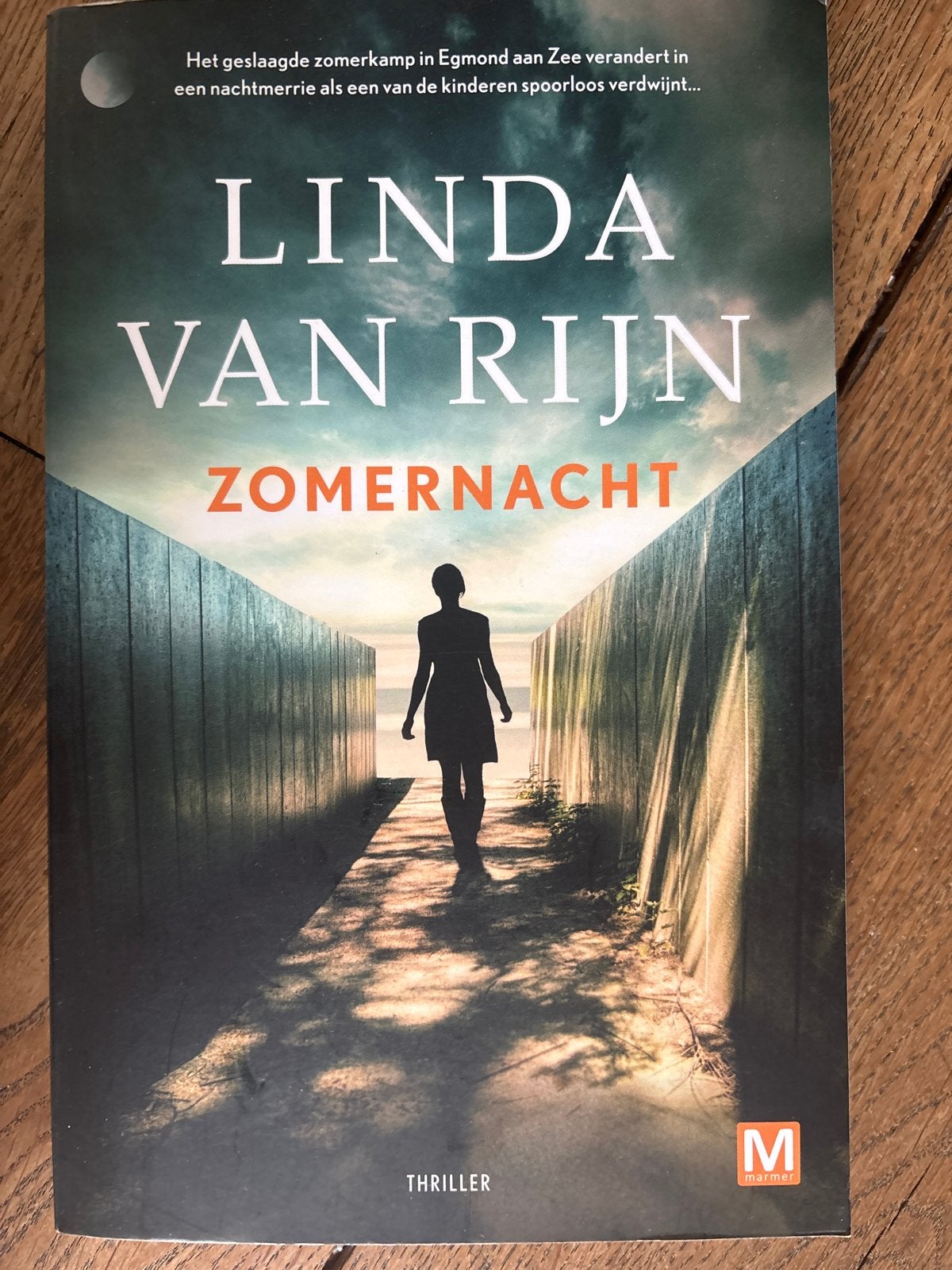 Linda van Rijn - Zomernacht (Thriller), Boeken, Ophalen of Verzenden, Gelezen, Nederland