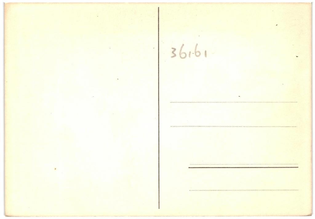 36161 Voor het kind vhk Poes Mooie oude kaart Onbeschreven, Ophalen of Verzenden, 1960 tot 1980, Ongelopen, Natuur