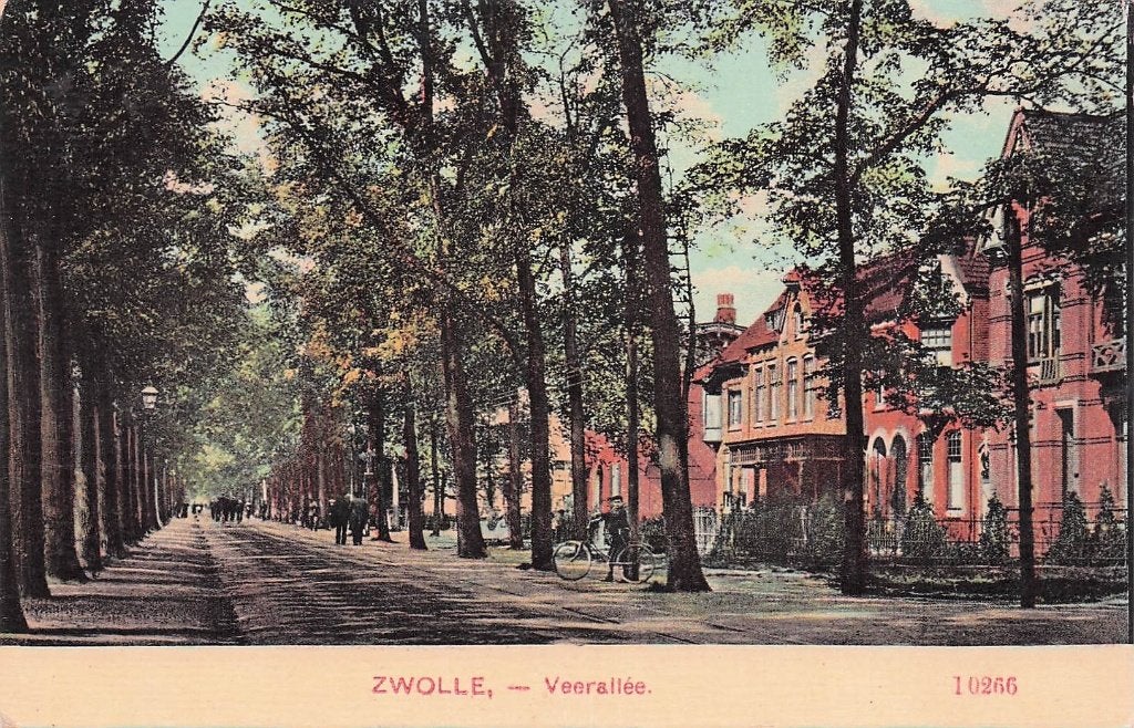 Zwolle - Veerallee (Nauta 10266) gel. 1909, Ophalen of Verzenden, Voor 1920, Gelopen, Overijssel