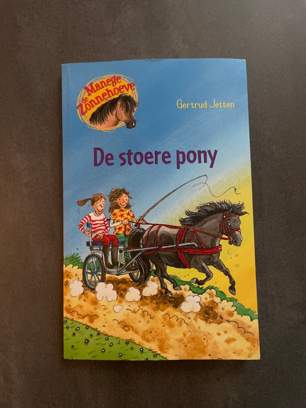 De stoere pony - De Manege Zonnehoeve - Gertrud Jetten, Ophalen, Gelezen, Fictie