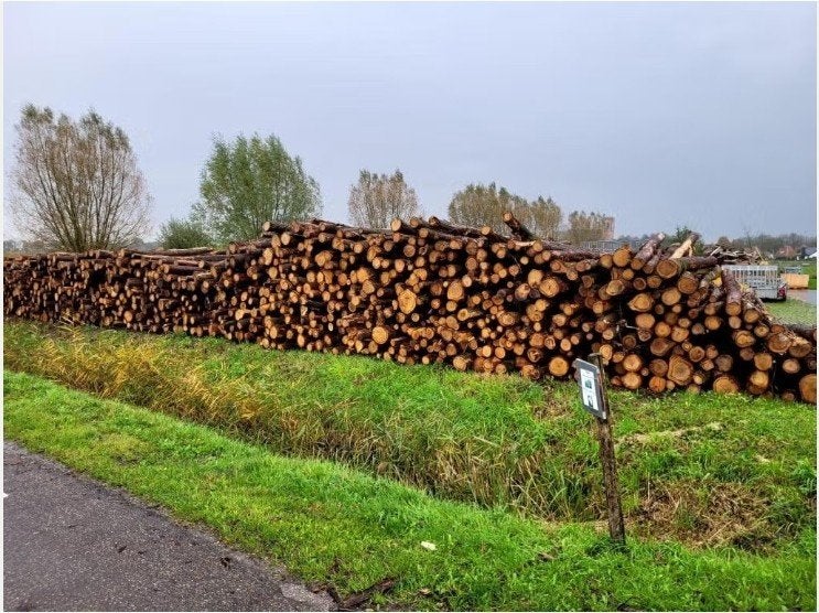 AANVUL ACTIE! Openhaardhout mix: Eik, Beuk, Berk, Es, Tuin en Terras, Haardhout, 6 m³ of meer, Ophalen, Eikenhout, Blokken