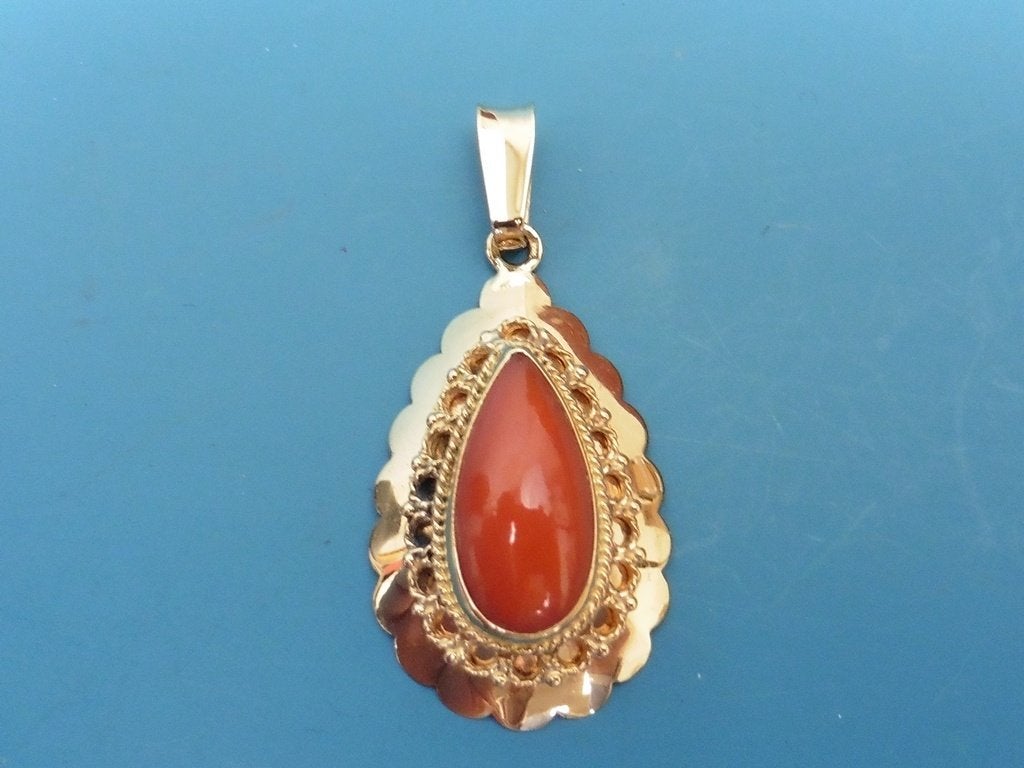 Gouden hanger met bloedkoraal                            G46