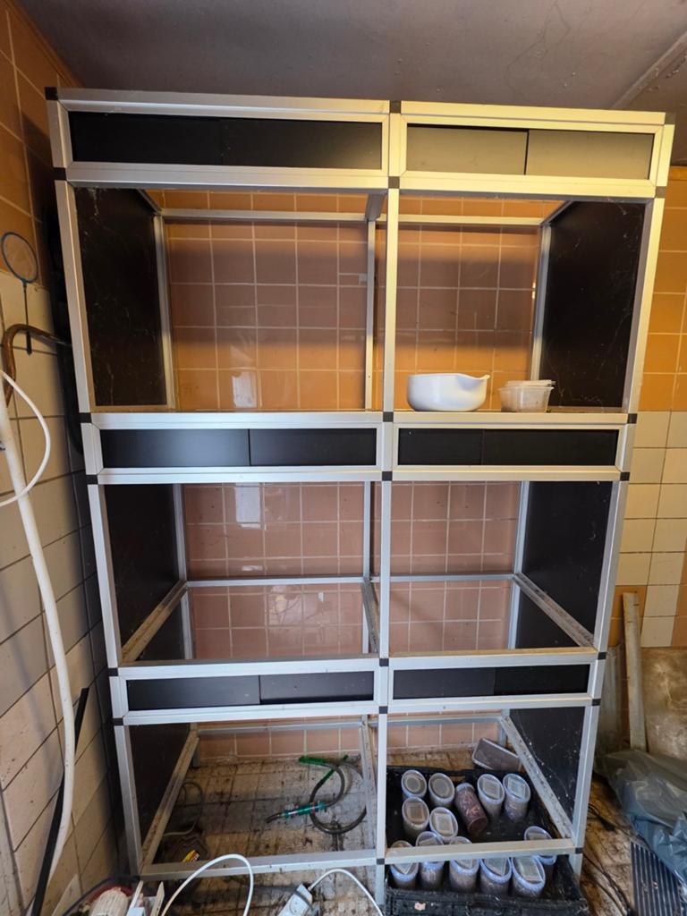 Stelling voor 6 terraria, Dieren en Toebehoren, Ophalen, Gebruikt