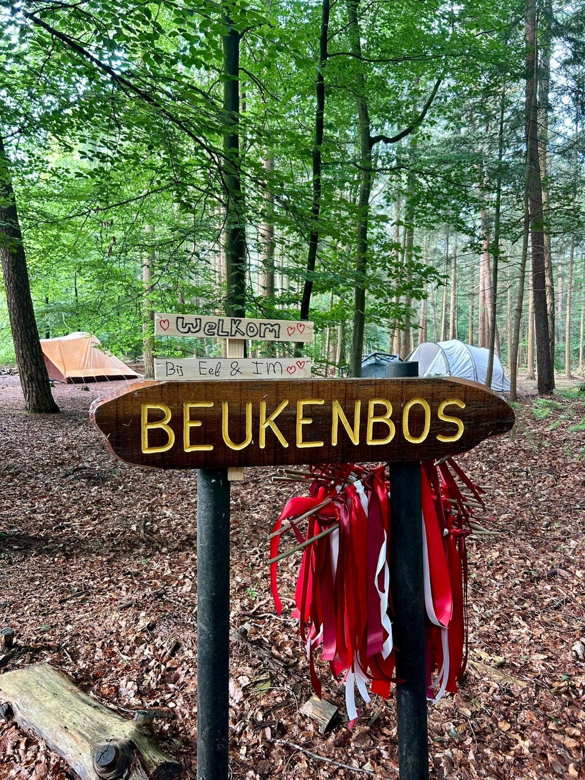 Bruiloft linten voor feestjes of evenementen, Ophalen, Gebruikt, Textiel, Meerkleurig