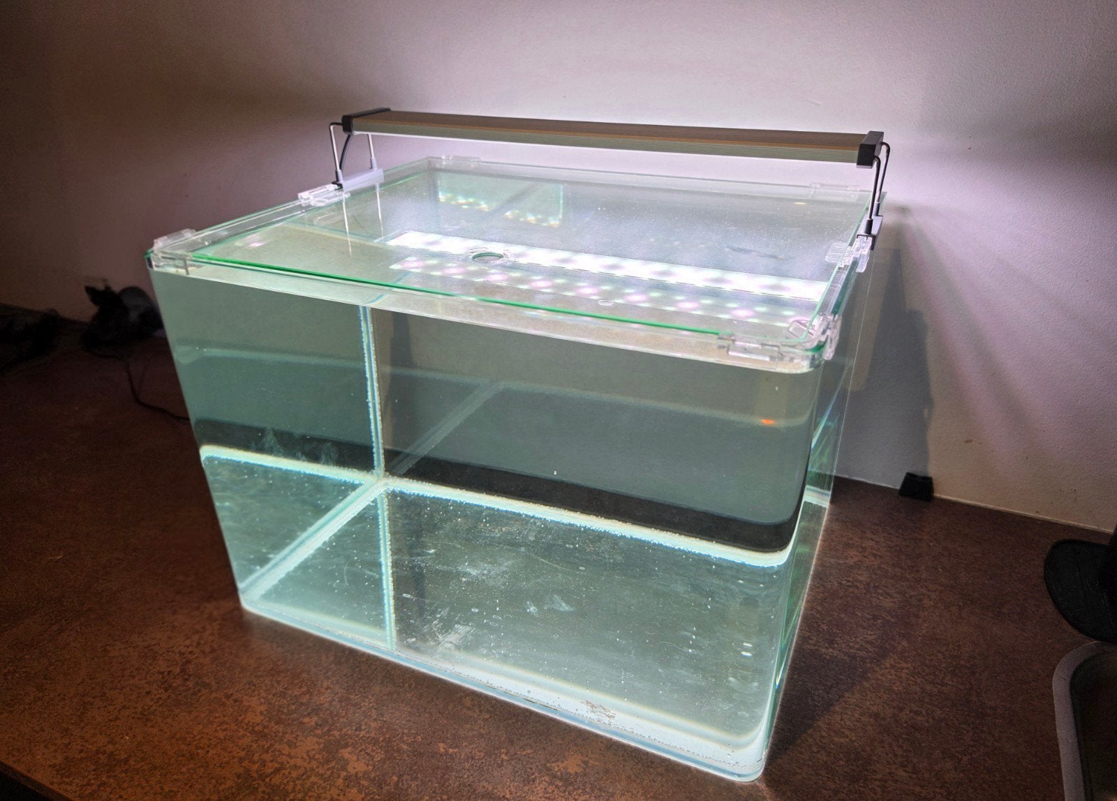 Dennerle 55L aquarium + optioneel Chihiros verlichting, Ophalen, Zo goed als nieuw, Leeg aquarium, App-bediening