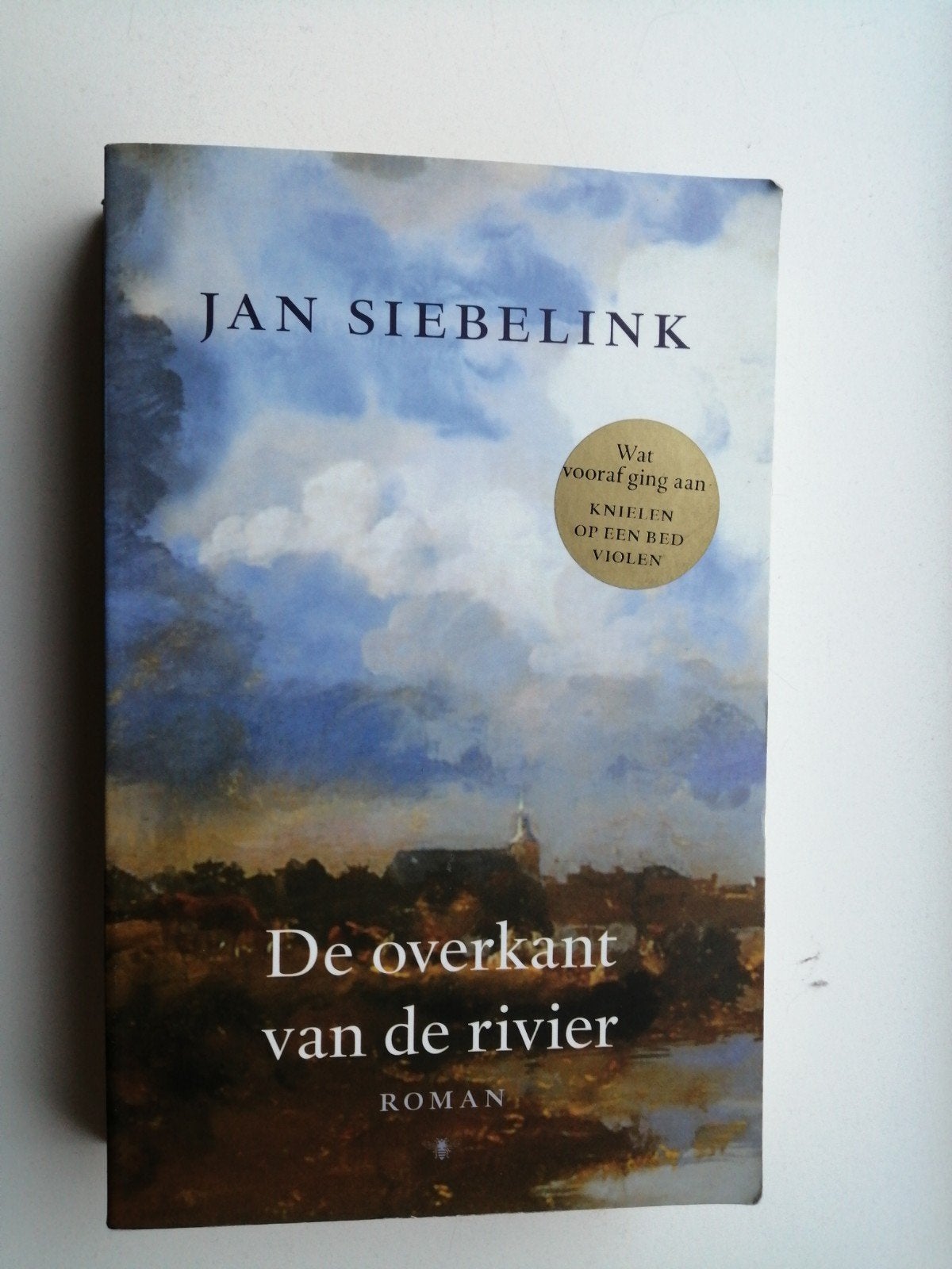 De overkant van de rivier - Jan Siebelink (Roman), Ophalen of Verzenden, Zo goed als nieuw, Jan Siebelink, Nederland