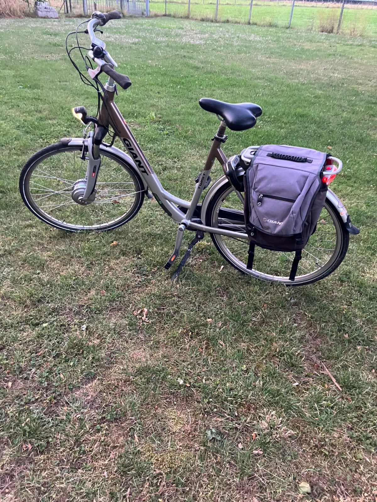 Elektrische fiets Giant Twist, Ophalen, Gebruikt, Giant, 51 tot 55 cm