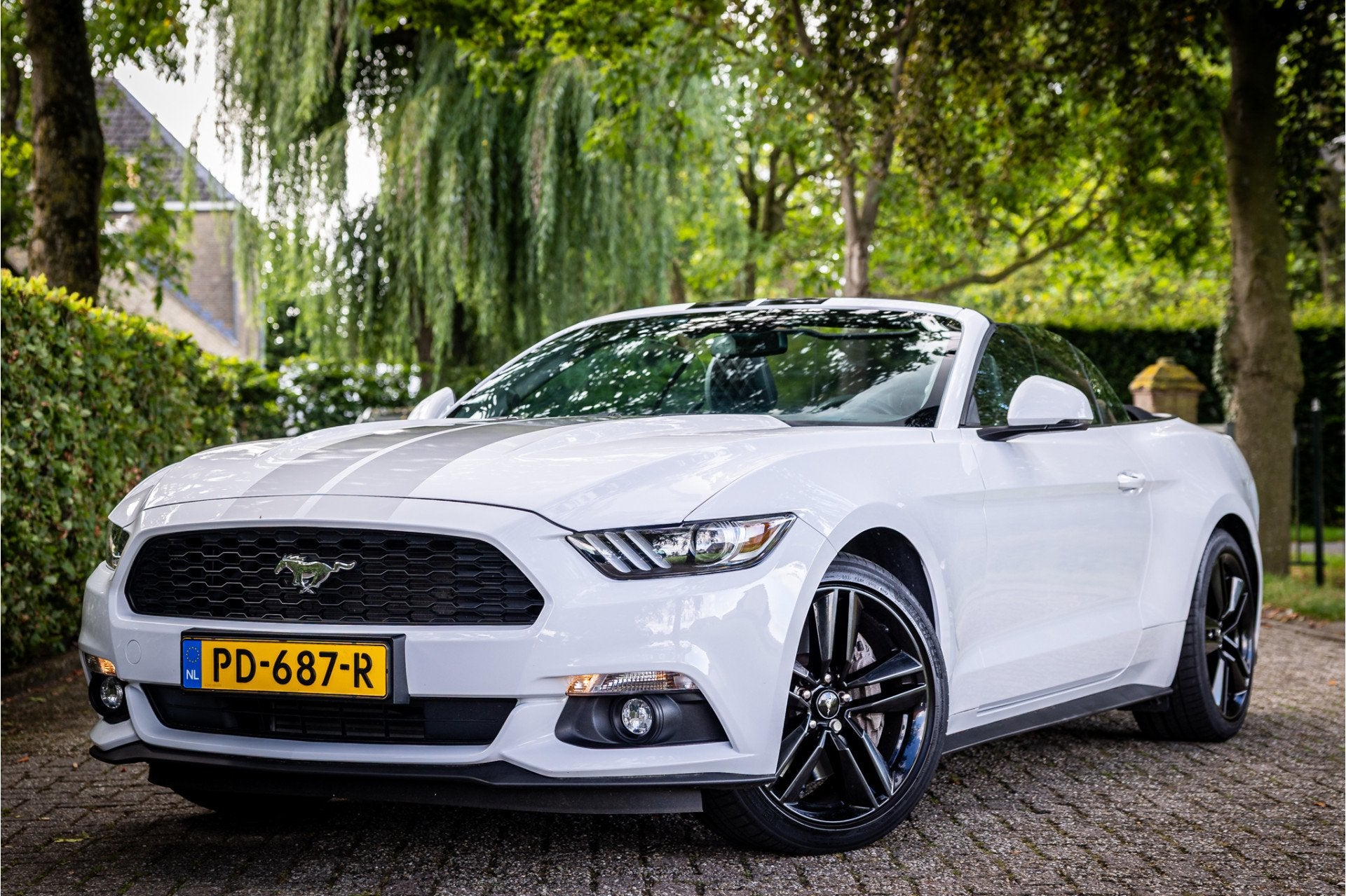 Ford Mustang Convertible 2.3 EcoBoost Stoelventilatie Shaker, Auto's, Ford, Achterwielaandrijving, Gebruikt, 4 cilinders, Cabriolet