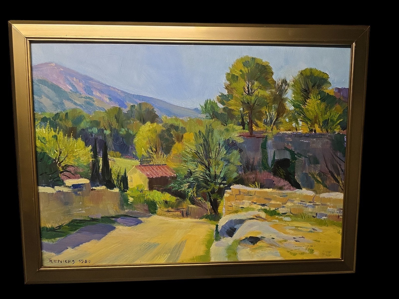 Schilderij 'Au loin le Ventoux' door F. Reniers (1980), Paneel, Realistisch, Ophalen of Verzenden, Gedateerd