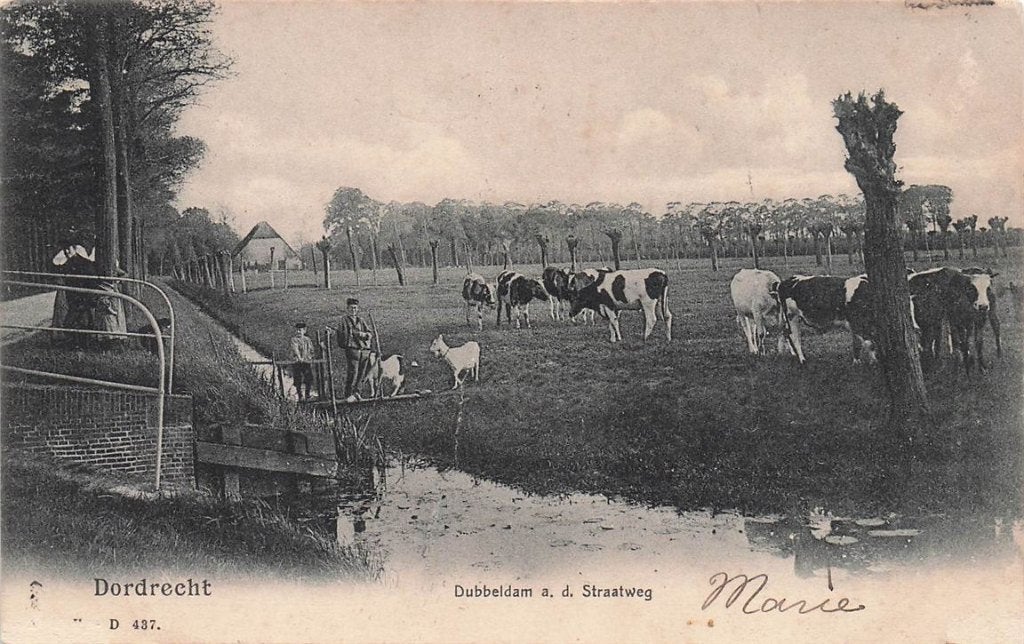 702-207-009 Dordrecht Dubbeldam A D Straatweg, Verzenden, Voor 1920, Zuid-Holland