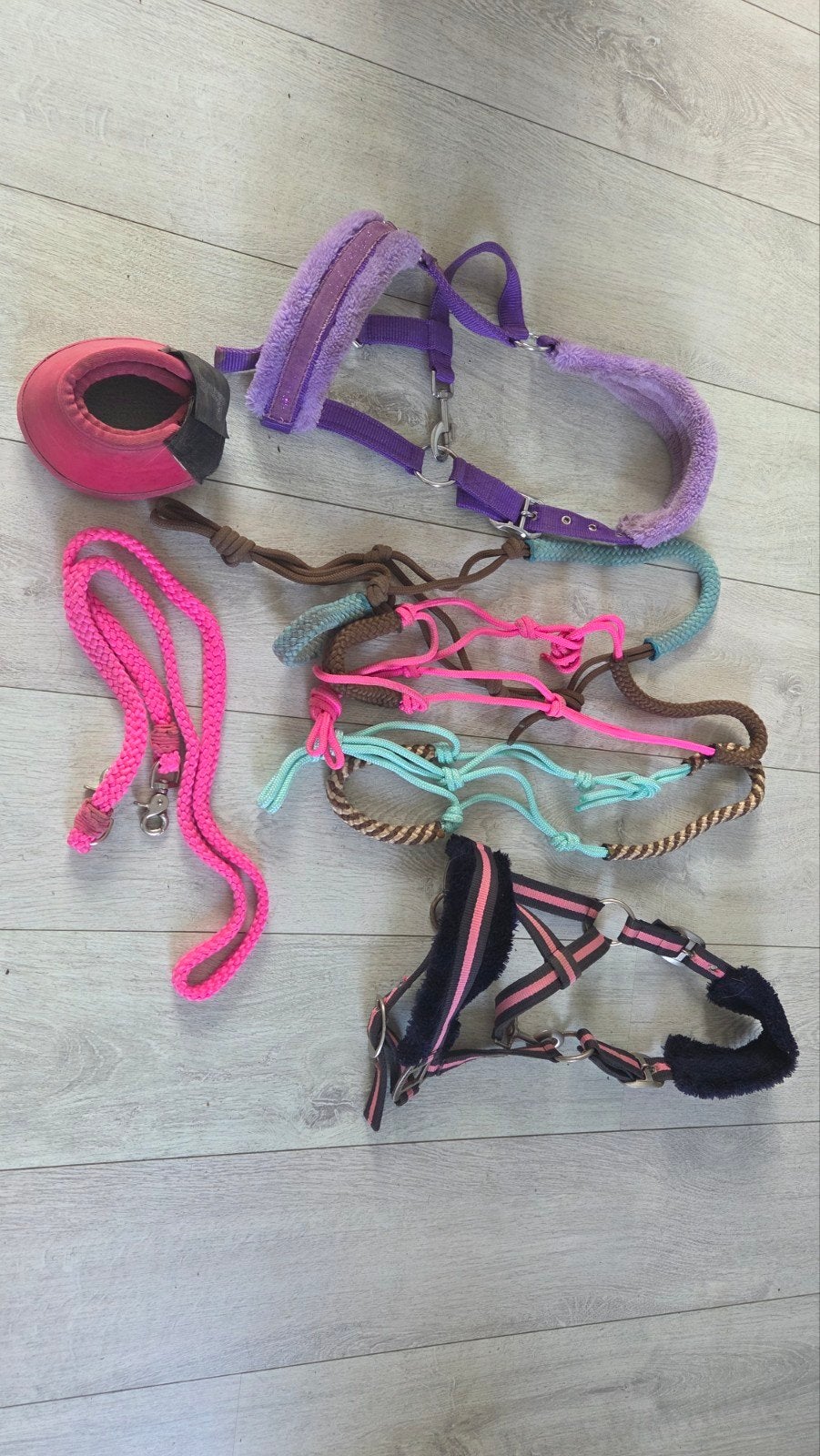 halsters shetlander/pony, Ophalen of Verzenden, Gebruikt