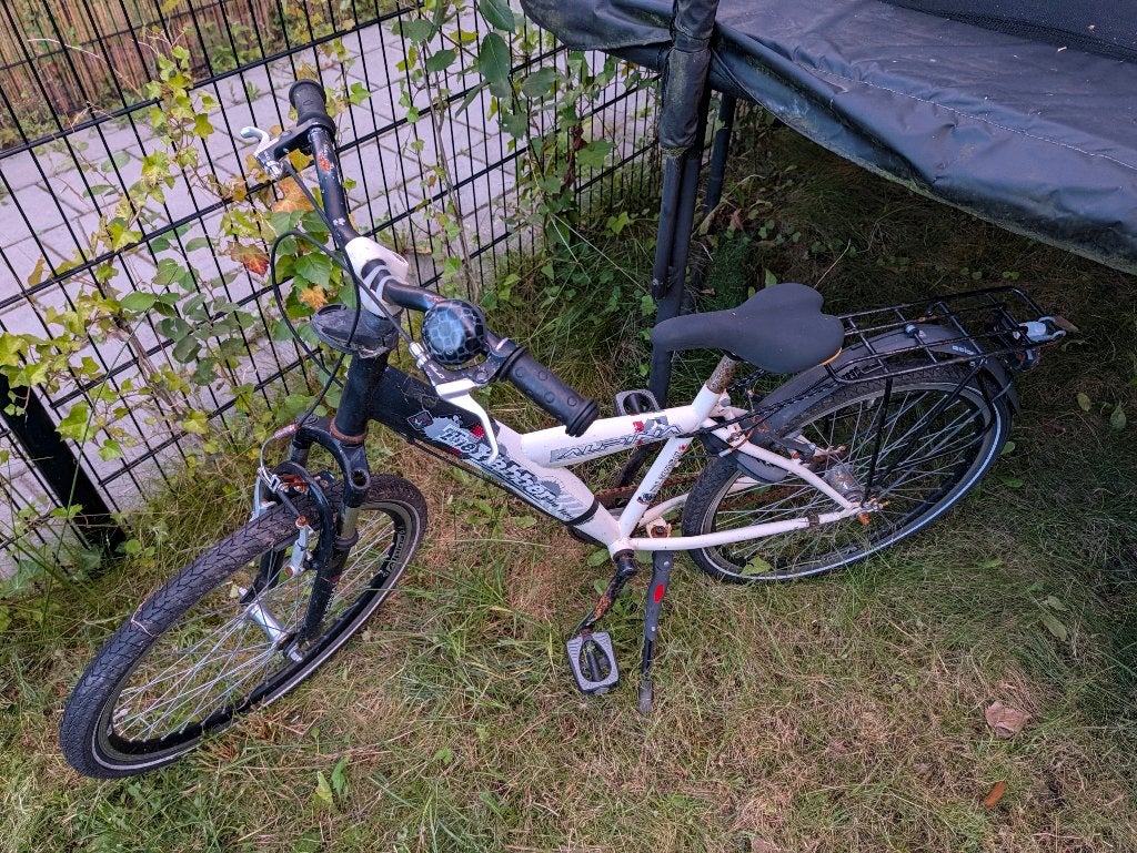 Alpina fiets voor onderdelen of opknapper, Ophalen, 20 inch of meer, Gebruikt, Velgrem