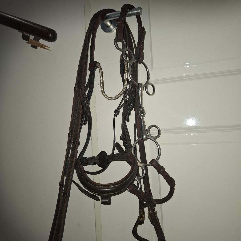 Dyon hoofdstel cob, Dieren en Toebehoren, Paarden en Pony's | Hoofdstellen en Tuigage, Dyon, Overige soorten, Ophalen of Verzenden