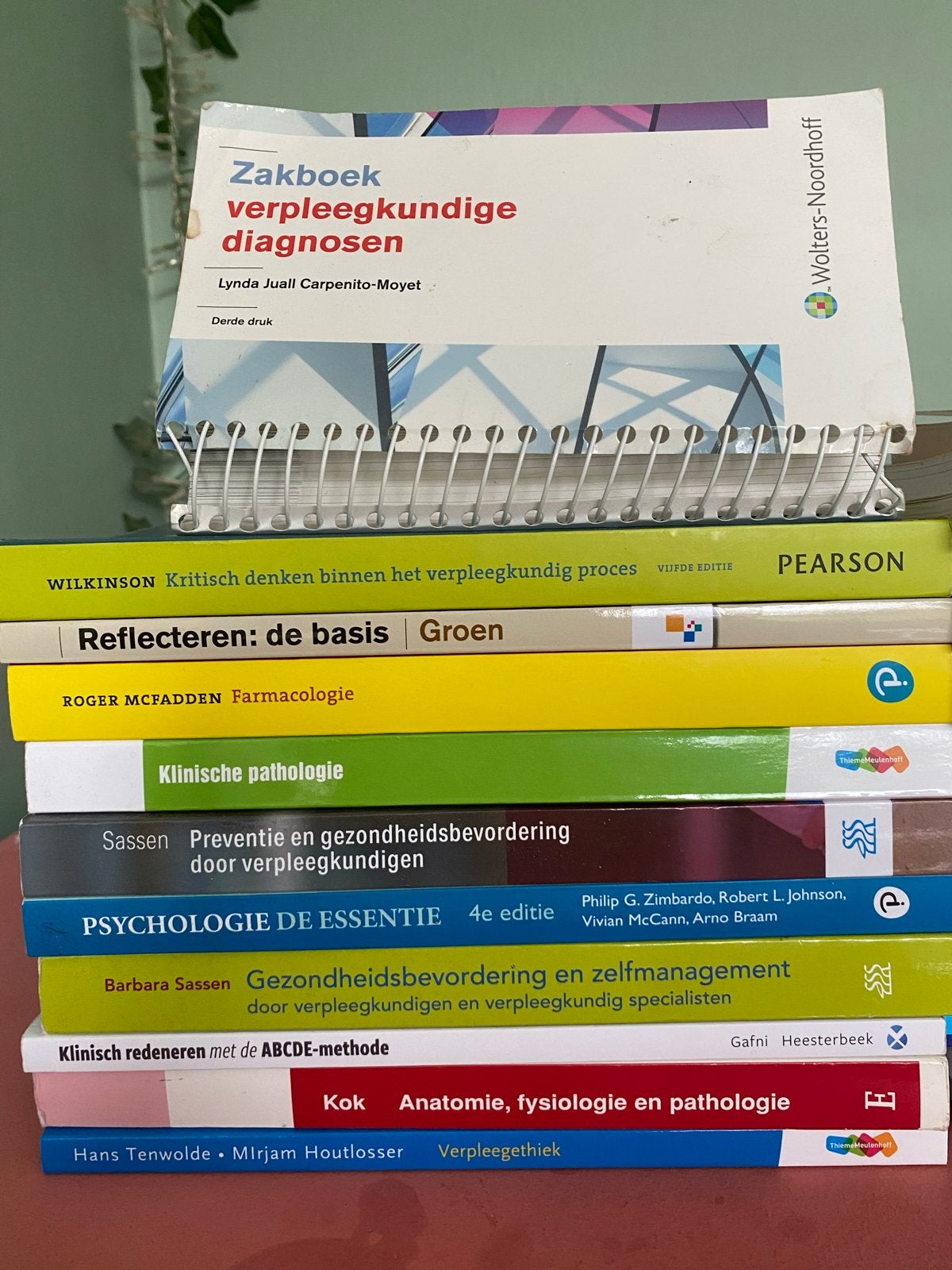 Boeken HBO-verpleegkunde (Hanze), Ophalen of Verzenden, Beta, Gelezen, HBO
