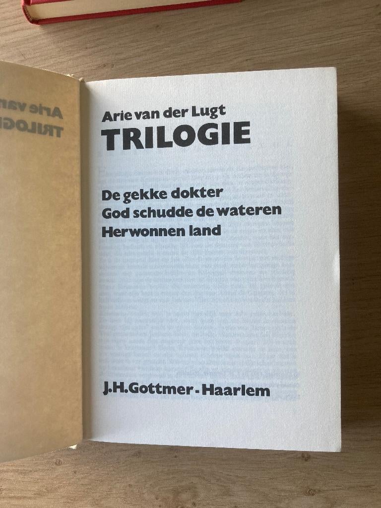 Boek Arie van der Lugt, Ophalen of Verzenden, Gelezen