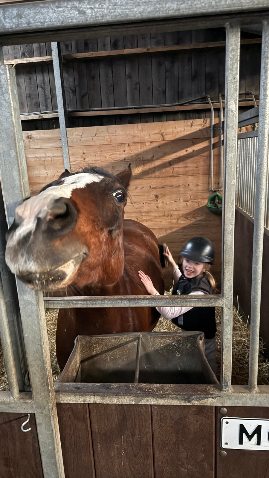 Verzorgpony gezocht, Ophalen of Verzenden, Zo goed als nieuw