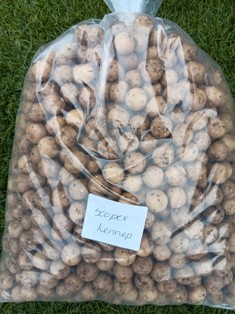 scopex hennep premium boilies, Ophalen of Verzenden, Nieuw, Overige typen