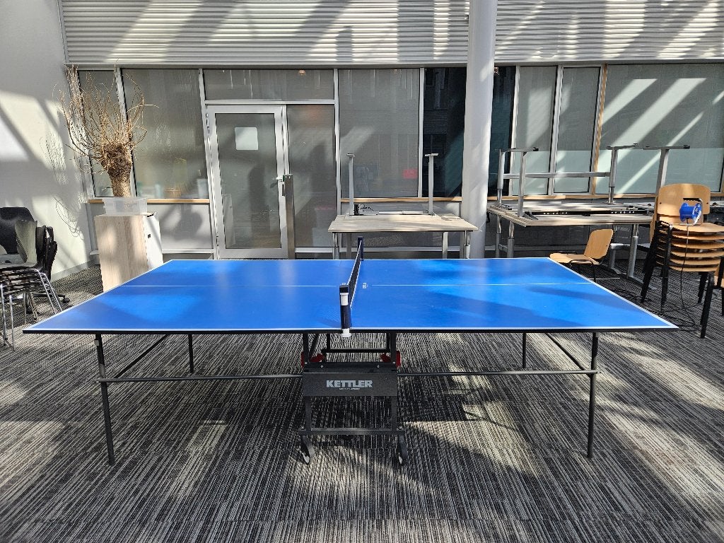 Ping Pong table/, Ophalen, Gebruikt, Verrijdbaar