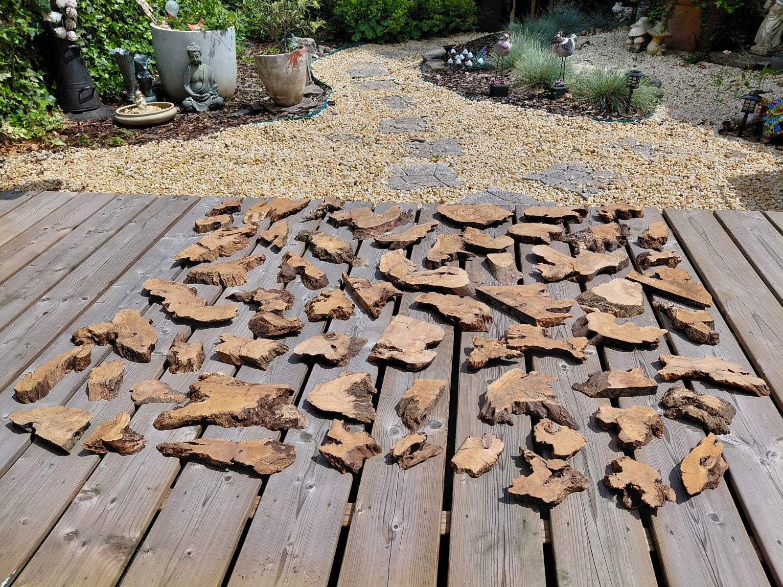 Olijfboomhout delen, Minder dan 25 mm, Ophalen of Verzenden, Plank, Minder dan 200 cm