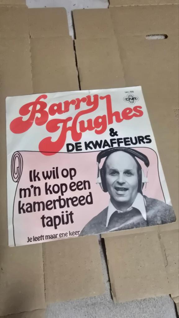 Barry Hughes & De Kwaffeurs -Ik wil op m'n kop een kamerbre, Ophalen of Verzenden, Gebruikt, Nederlandstalig