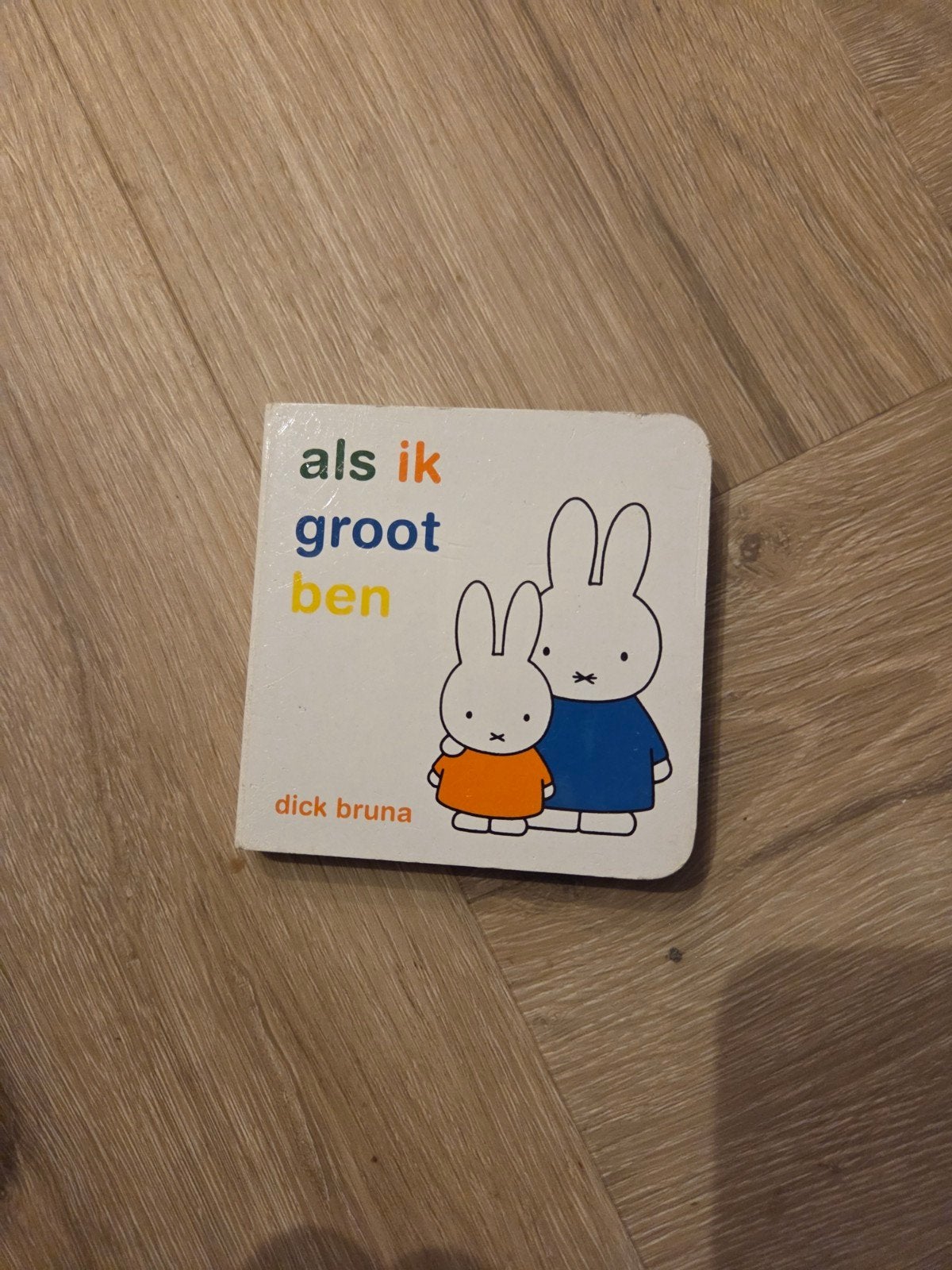 Nijntje boekje: Als ik groot ben - Dick Bruna, Ophalen of Verzenden, Gelezen, Dick Bruna, 1 tot 2 jaar