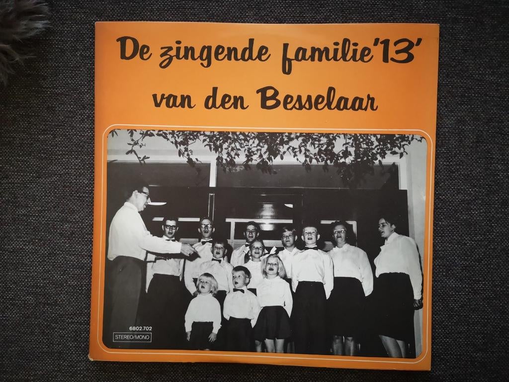 Vinyl lp De zingende familie '13' van den Besselaar, Cd's en Dvd's, Vinyl | Nederlandstalig, Ophalen of Verzenden, Gebruikt, 12 inch