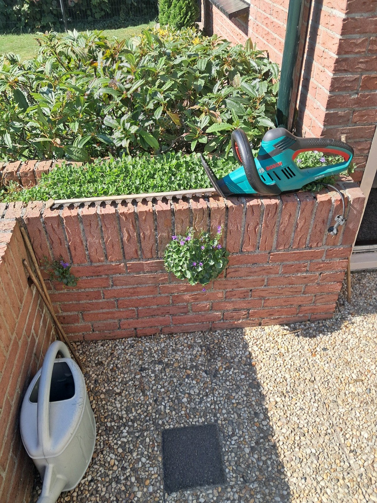 Bosch elektrische heggenschaar AHS 50-26, Ophalen, Zo goed als nieuw, Elektrisch