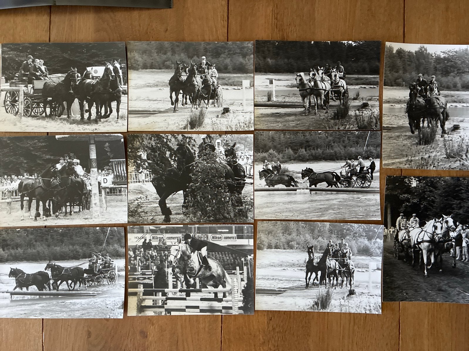 Set van 11 oude grote foto's van paardensport, Verzamelen, Foto's en Prenten, 1960 tot 1980, Gebruikt, Foto, Ophalen of Verzenden