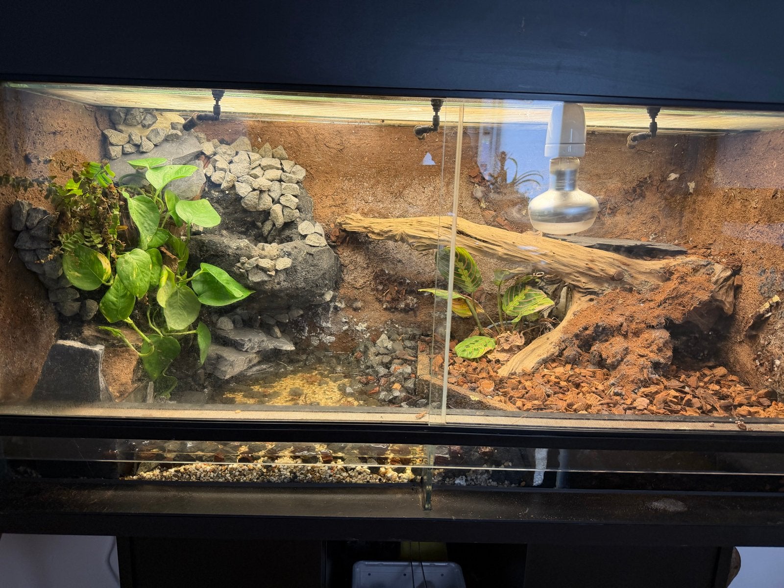 Terraium 100x50x50, Dieren en Toebehoren, Ophalen