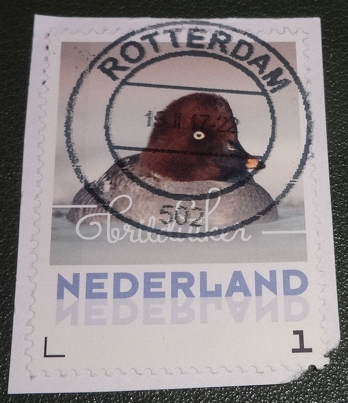 Vogels - Persoonlijk- 3013 - 2017 - Brilduiker - PNe01-13, Verzenden, Na 1940, Gestempeld