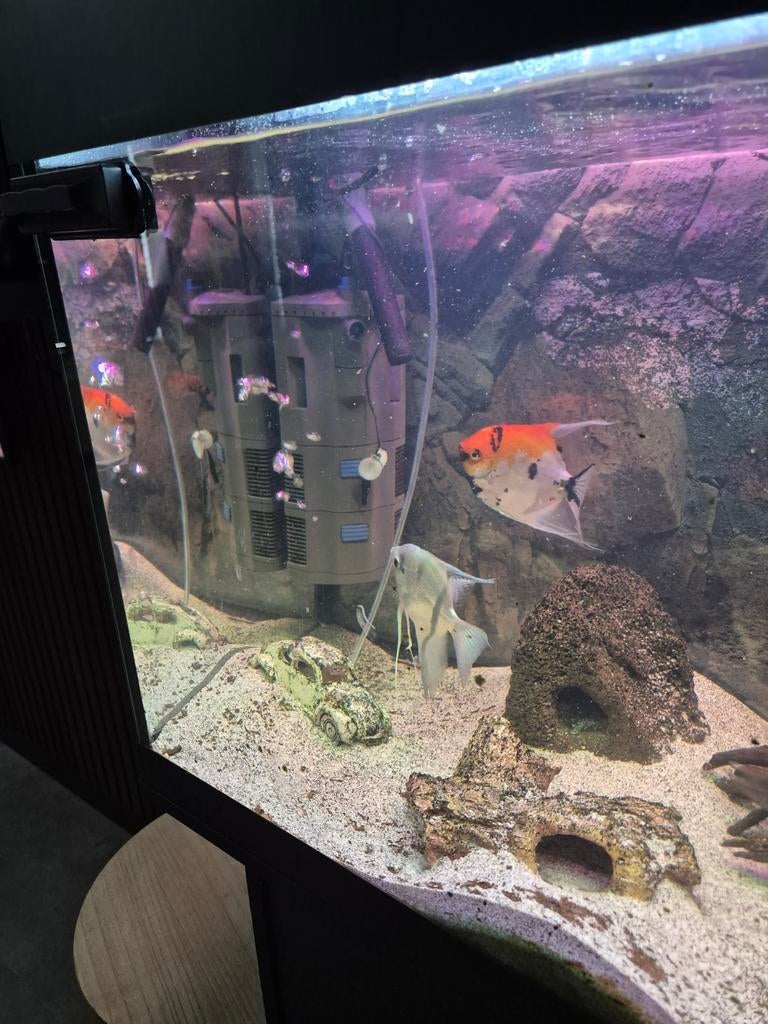 Aquarium met vissenbestand, Dieren en Toebehoren, Ophalen, Zo goed als nieuw, Leeg aquarium