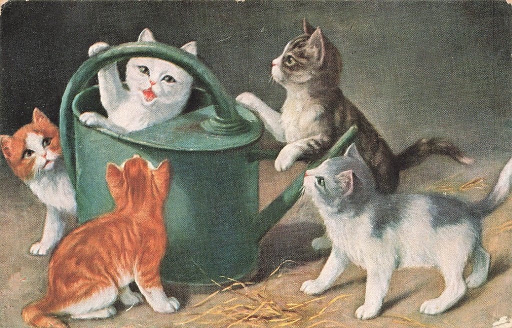 Spelende poesjes bij een gieter  1924, Ophalen of Verzenden, 1920 tot 1940, Gelopen, Friesland
