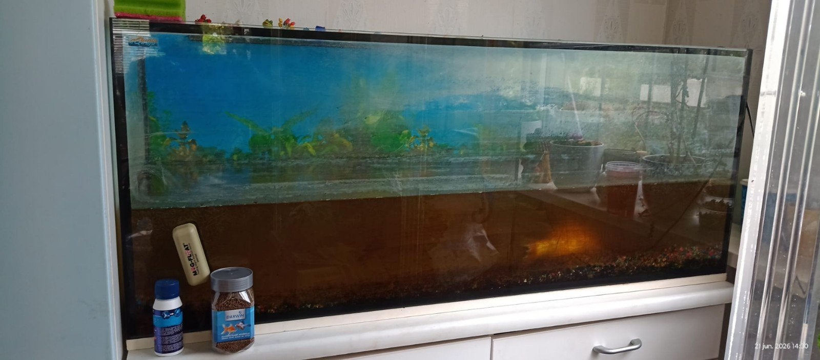 Aquaria met 3 goud  vis, Ophalen