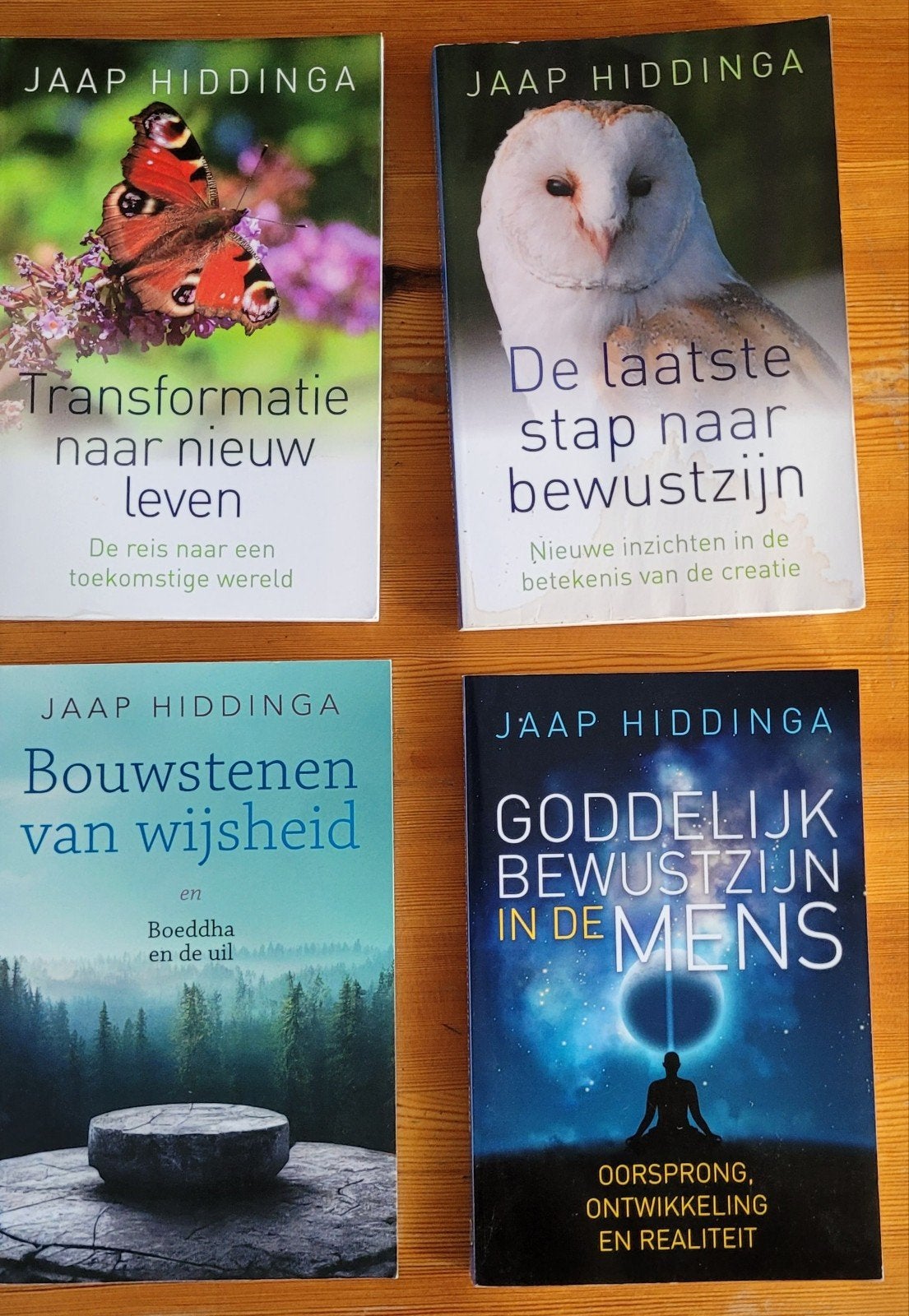 jaap hiddinga divers, Boeken, Ophalen of Verzenden, Zo goed als nieuw, Spiritualiteit algemeen, Achtergrond en Informatie