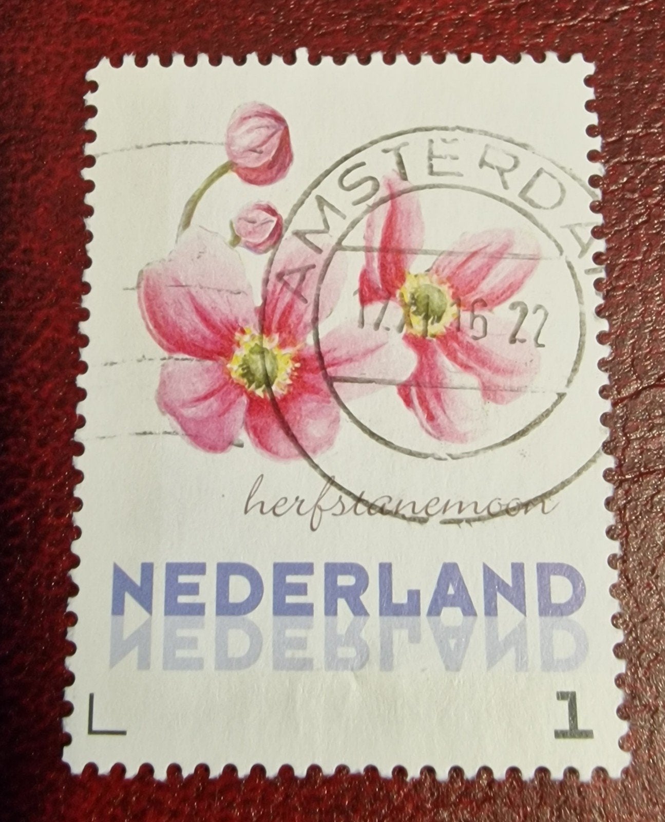 kv129 persoonlijke  postzegel 'herfstanemoon' gestempeld 202, Ophalen of Verzenden, Na 1940, Gestempeld