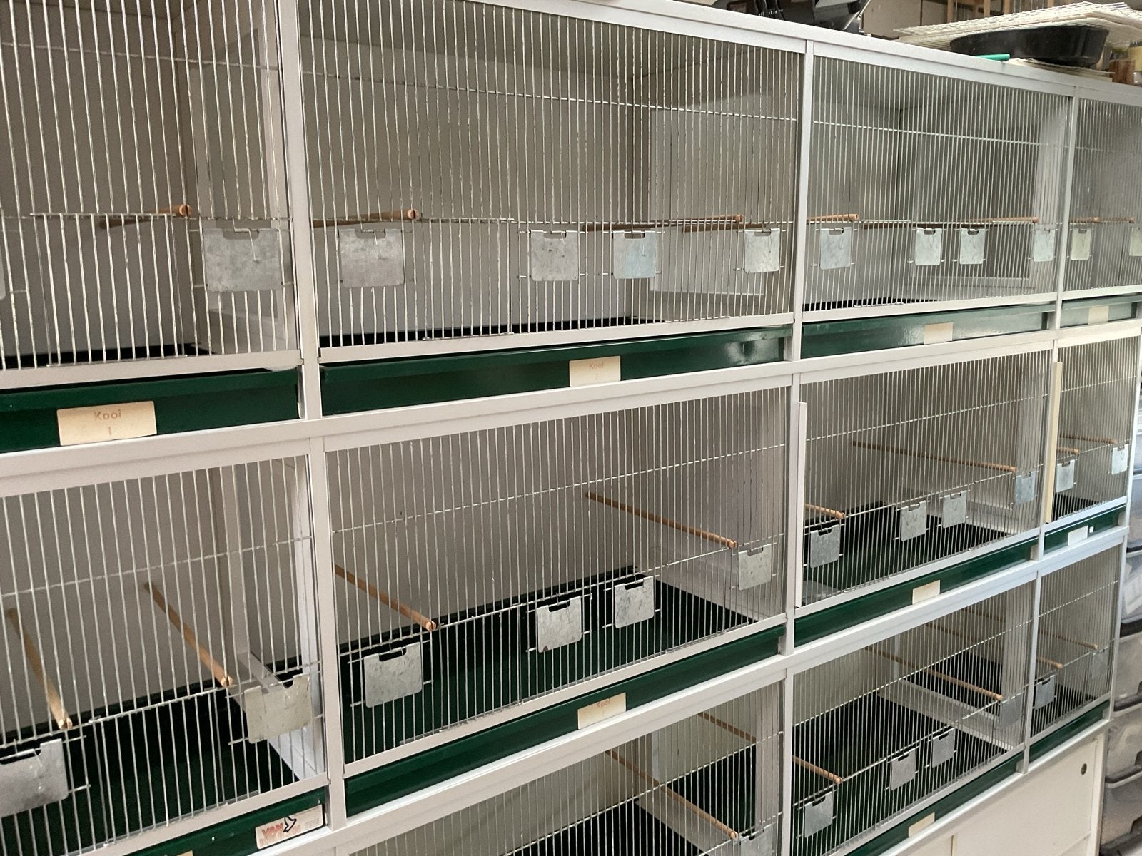 Van keulen kooie  40 x80 x 80 x40, Dieren en Toebehoren, Vogels | Hokken en Kooien, Ophalen, Zo goed als nieuw, Hout, Vogelkooi