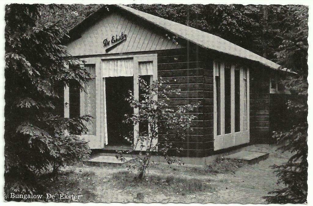 AK Voorthuizen - Vacantieoord "Dennenoord", De Ekster, Ophalen of Verzenden, 1960 tot 1980, Ongelopen, Gelderland