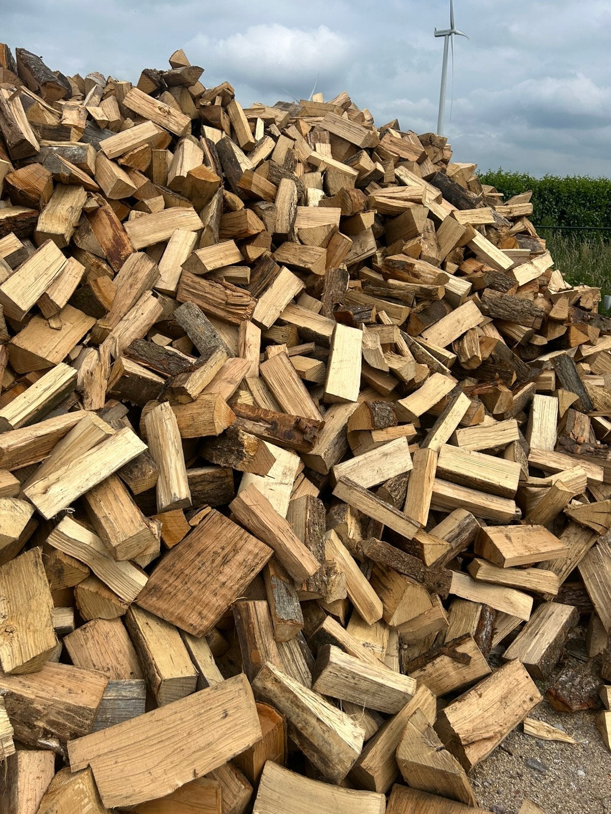 Haardhout uit de franse ardenne!, Tuin en Terras, Haardhout, Minder dan 3 m³, Ophalen, Essenhout, Blokken
