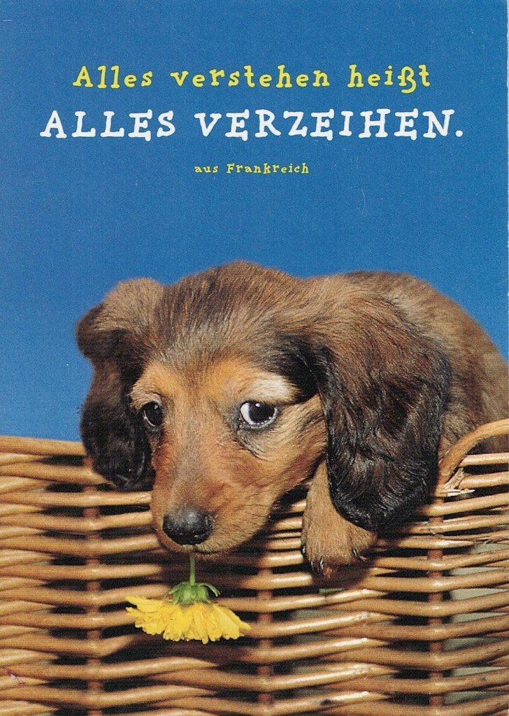 Teckel met een bloem in zijn bek 343, Ophalen of Verzenden, 1980 tot heden, Gelopen, Hond of Kat