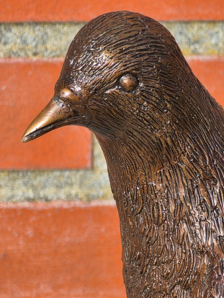 DUIF / BRONZEN TUINBEELD, Nieuw, Info@huisentuindecoratiemarie.nl, Huis en tuin decoratie marie, Dierenbeeld
