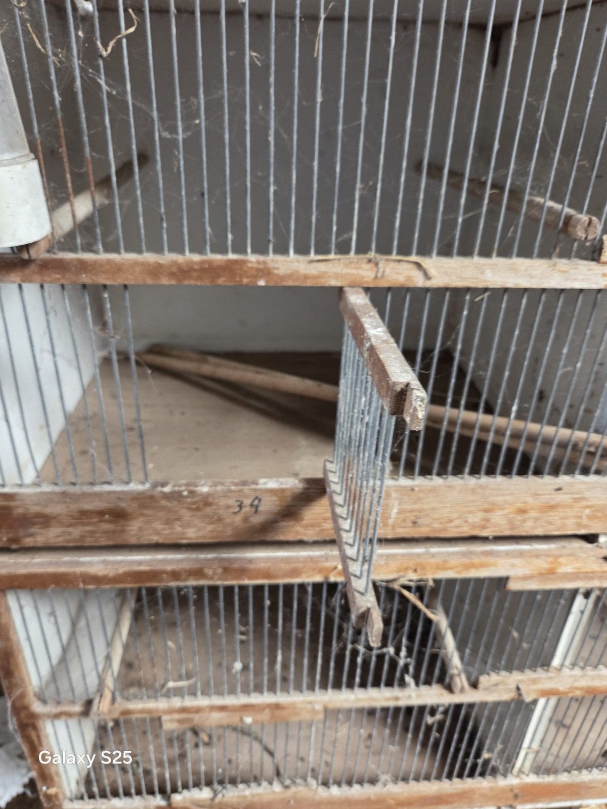 Vogel broed kooi., Dieren en Toebehoren, Vogels | Kanaries, Meerdere dieren, Kleurkanarie