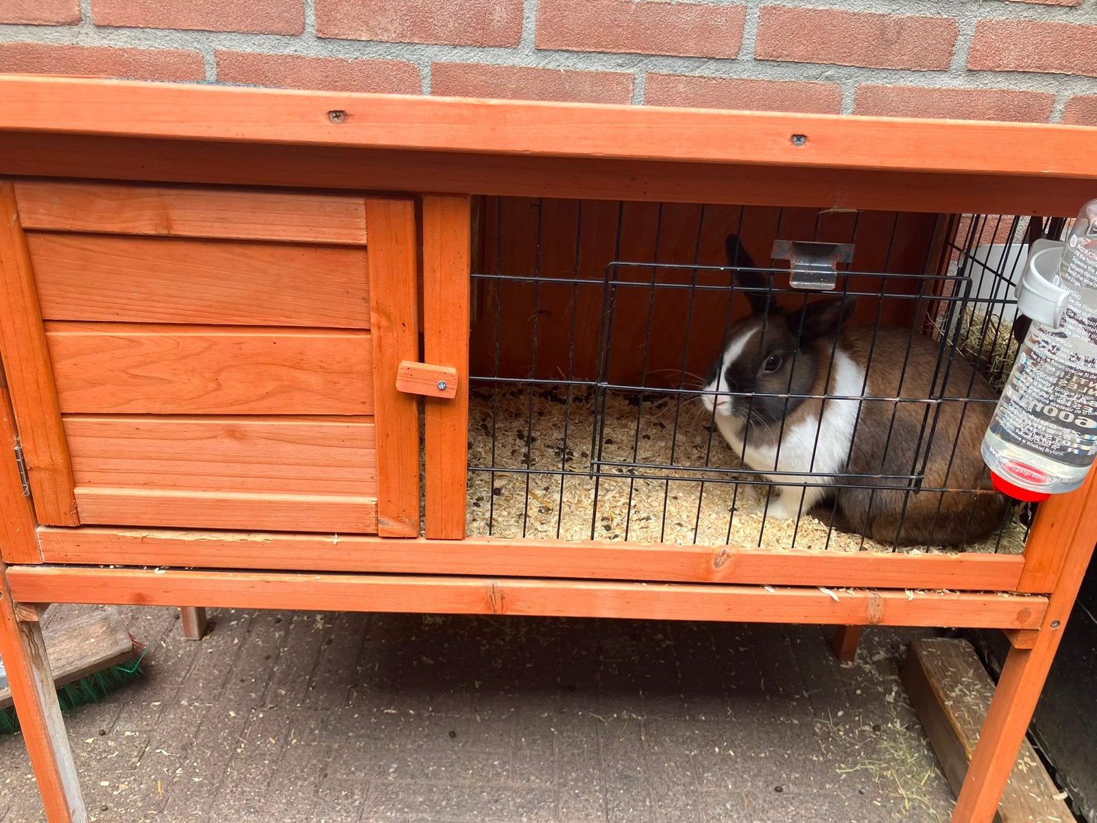 Gratis konijn met hok ophalen uit Genemuiden, Dieren en Toebehoren, Knaagdieren en Konijnen | Hokken en Kooien, Zo goed als nieuw