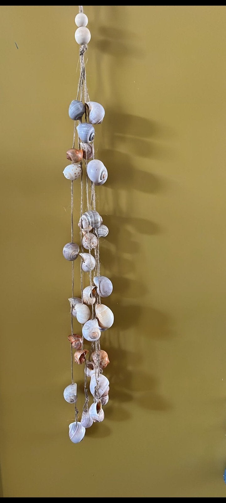 Schelpenhanger, Ophalen of Verzenden, Nieuw